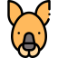 Kangaroo icon 64x64