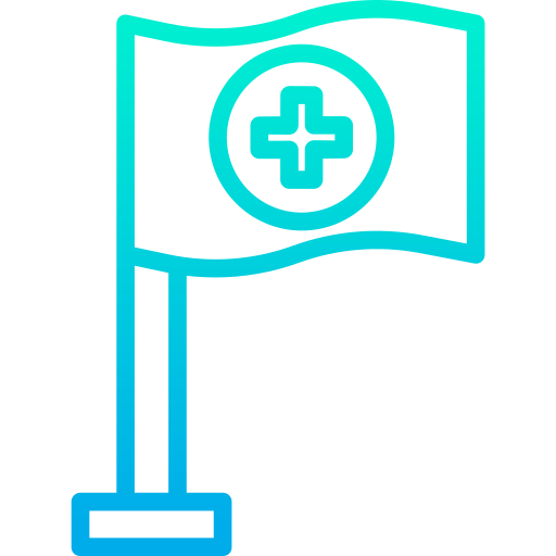 Flag icon