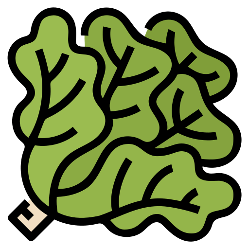Lettuce icon