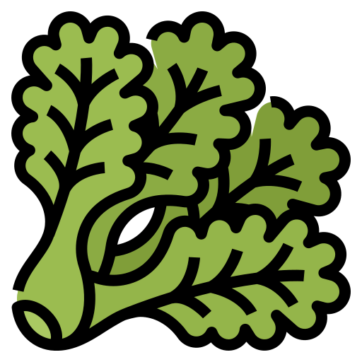 Lettuce icon