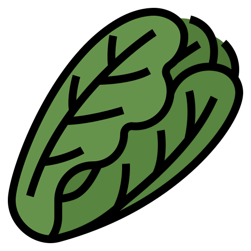 Lettuce icon