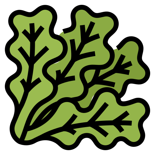 Lettuce icon