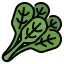 Spinach biểu tượng 64x64