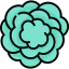 Carnation icon 64x64