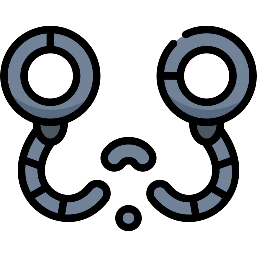 Freedom icon