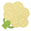 Cauliflower アイコン 64x64