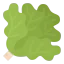 Lettuce icon 64x64