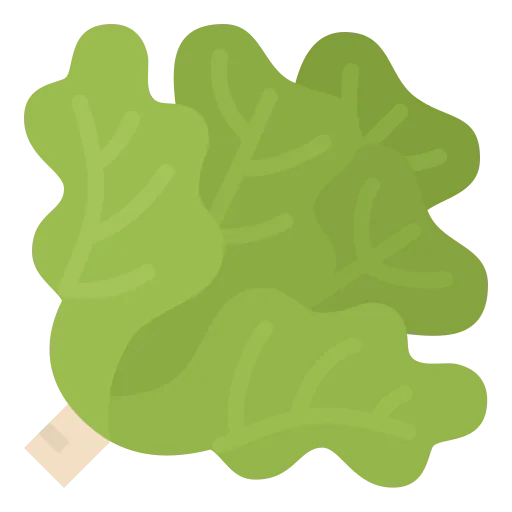 Lettuce icon