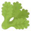 Lettuce icon 64x64