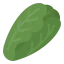 Lettuce icon 64x64