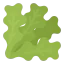 Lettuce icon 64x64