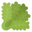 Lettuce icon 64x64