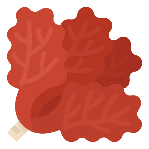 Lettuce icon