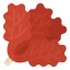 Lettuce icon 64x64