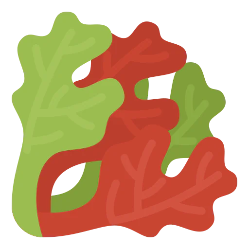 Lettuce icon