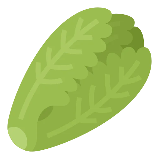 Lettuce icon