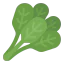 Spinach biểu tượng 64x64