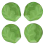 Sprouts ícono 64x64