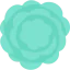 Carnation icon 64x64