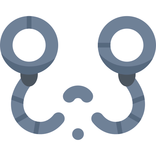Freedom icon