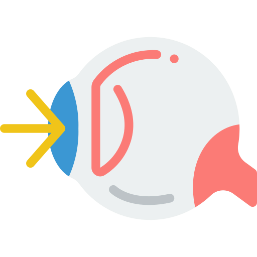 Eye icon