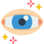 Vision icon 64x64