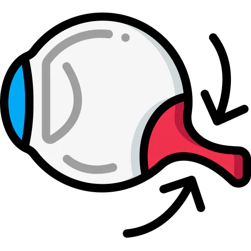 Eye icon