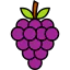 Grapes icon 64x64