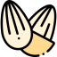 Almond icon 64x64
