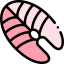 Salmon icon 64x64