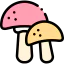 Mushroom icon 64x64