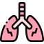 Lungs icon 64x64
