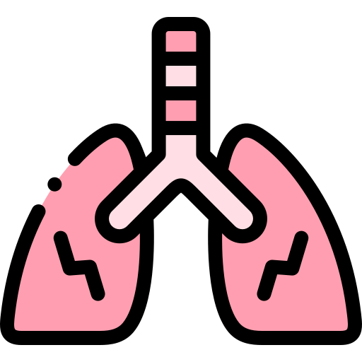 Lungs icon