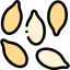 Sesame icon 64x64
