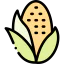 Corn icon 64x64
