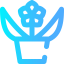 Flower icon 64x64