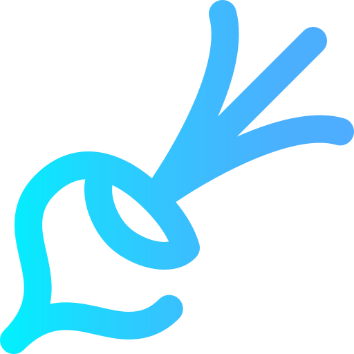 Radish icon
