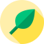 Leaf icon 64x64