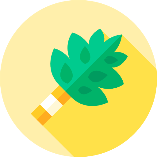 Birch icon
