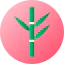 Bamboo icon 64x64
