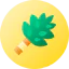 Birch icon 64x64