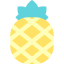Pineapple icon 64x64