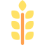 Wheat icon 64x64