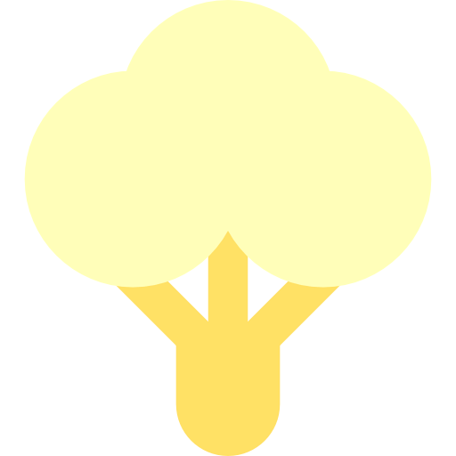 Cauliflower icon