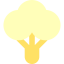 Cauliflower アイコン 64x64