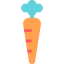 Carrot icon 64x64