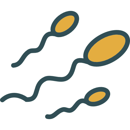 Sperm icon