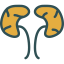 Kidneys Symbol 64x64