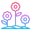 Flowers icon 64x64