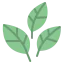 Leaves icon 64x64